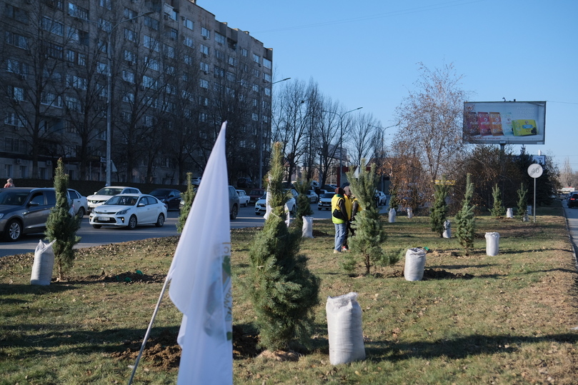 Волгоград 80 лет. Защитники Волгограда. Организация аллей. Волгоград центр. Центральный рынок Волгоград аллея.