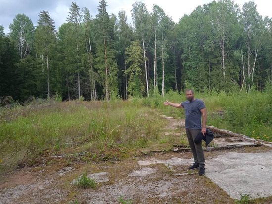 В Нестерове мужчину будут судить за вырубку леса почти на семь миллионов рублей