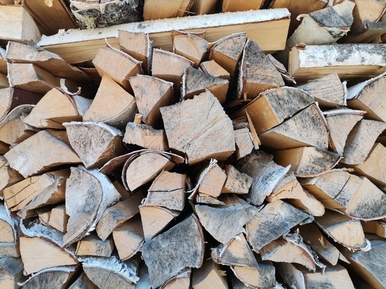 Глава района в Бурятии объяснил поставку непригодных дров семье мобилизованного
