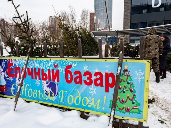 В Новосибирске в начале декабря не открылись елочные базары