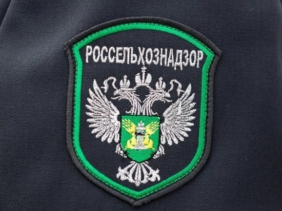 В Тверской области обнаружили 94 нарушения при оформлении документов