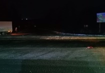 Накануне, вечером 1 декабря, на 32-ом километре автодороги "Тула - Белёв" Дубенского района Тульской области, 61-летний мужчина за рулём автомобиля марки "ВАЗ 21099" сбил 47-летнюю женщину