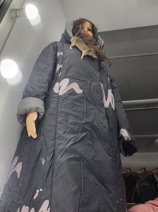 На прилавке магазина одежды в Твери крыса продавалась вместе с курткой