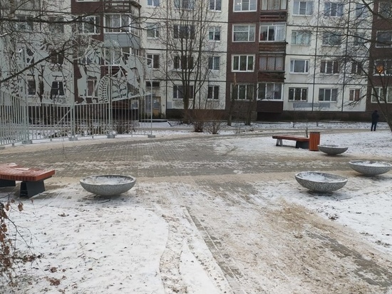 Холода не стали препятствием для появления вазонов в Петрозаводске