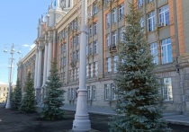 Ёлку для новогоднего городка в Екатеринбурге привезут в столицу Урала после потепления