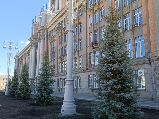 Ёлку для новогоднего городка Екатеринбурга нашли в 200 километрах от города
