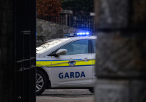 В Ирландии мужчина пришел в дом педофила, который ранее отсидел срок, жестоко расправился с ним, после чего попал под машину и умер