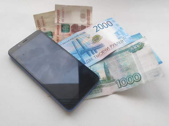 Жительница Чагодощенского района обогатила мошенников более чем на 450 тысяч рублей
