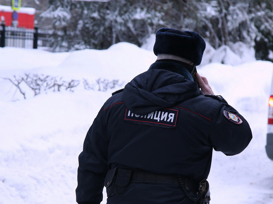 Убийство случилось в Малом Брянцеве Подольского района