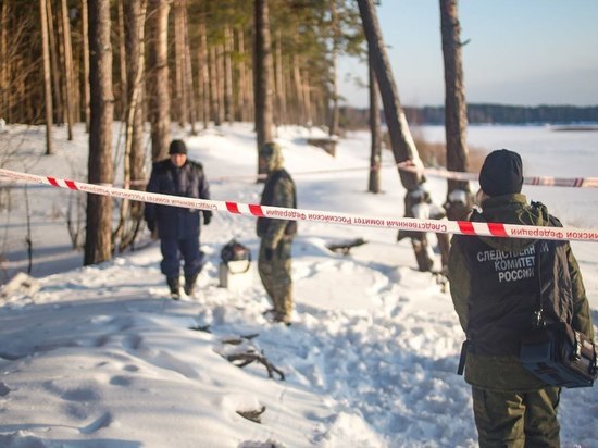 В Тверской области в лесу нашли кости человека