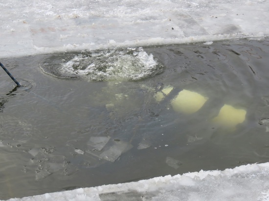 В Воронежской области провалившийся под лёд в первый день зимы рыбак скончался