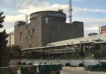 Гендиректор Международного агентства по атомной энергии (МАГАТЭ) Рафаэль Гросси выразил надежду на то, что решение проблемы Запорожской атомной станции, обеспечения ее безопасности, будет найдено до конца этого года