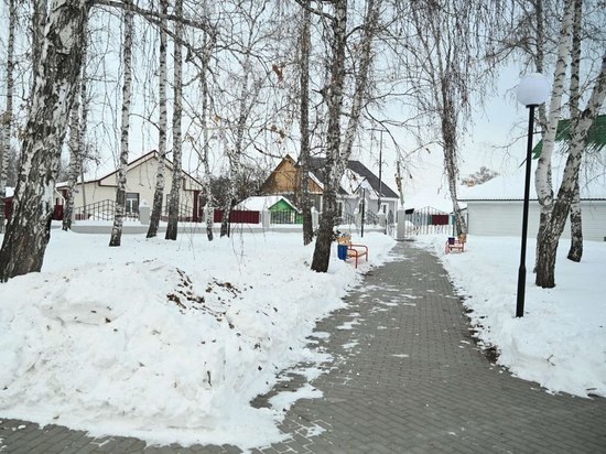 Синоптики озвучили прогноз погоды на 3 декабря в Челябинской области