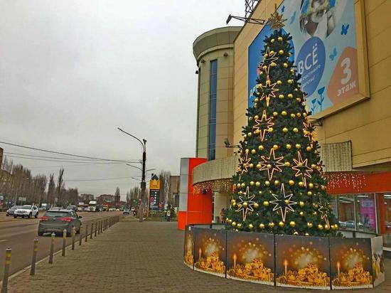 В субботу в Воронежской области пообещали до 6 градусов мороза