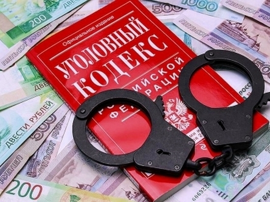 За сокрытие имущества на 3,5 миллиона осудят директора предприятия в Хабаровском крае