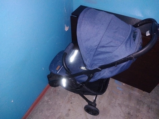 В Омской области бдительный шербакулец не допустил кражи детской коляски