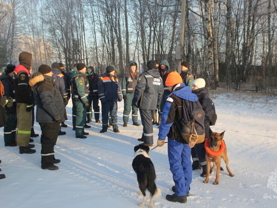 Костромское управление МЧС провело учения по спасению туристов в зимнем лесу