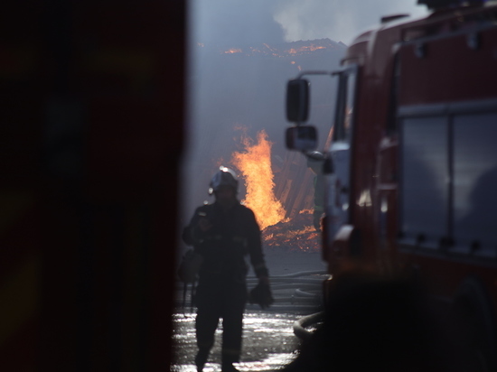 Спасатели нашли труп блокадницы после пожара на Пискаревском