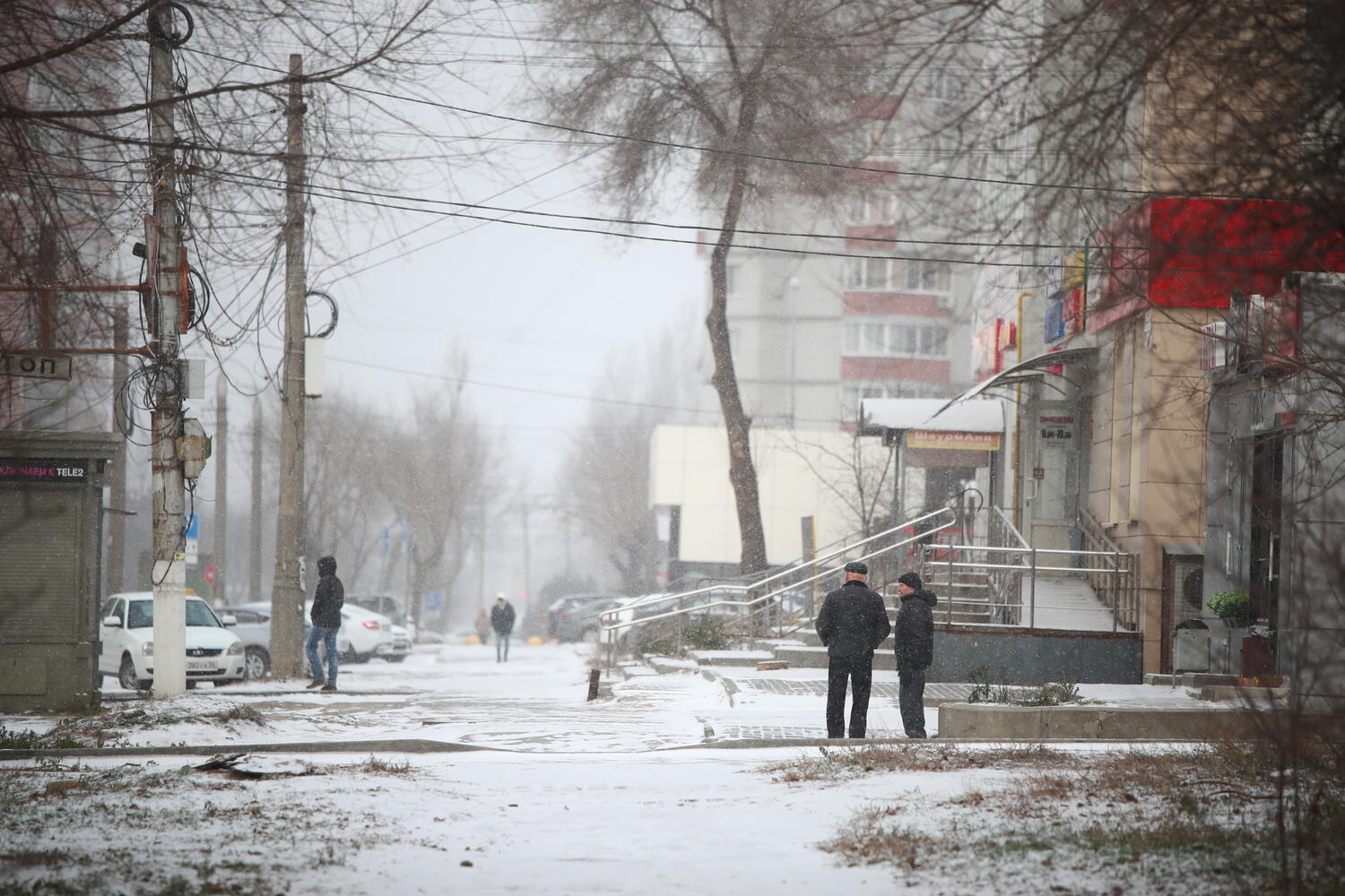 Когда выпадет снег в волгограде 2023. 20 градусов. Волгоград пустырь на семи ветрах. Когда выпадет снег в волгограде 2023. Зима без снега.