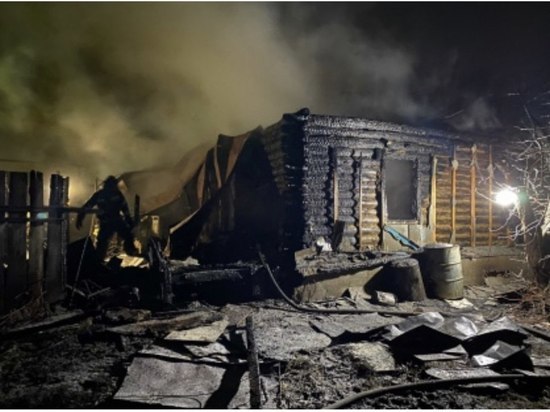 В Пензенской области в пожаре погиб 4-летний мальчик