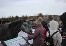 Волонтёры организовали бесплатную поездку в зоопитомник «Амодово» для детей мобилизованных забайкальцев