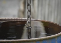 Правоохранители задержали белгородца, распиливавшего металлическую бочку для хранения воды у чужой дачи