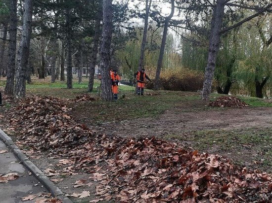 Симферополь: в сквере имени Быстролетова высадился городской десант