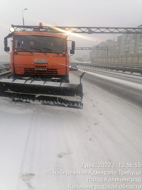 Дятлова: убирать снег в Калининграде вышли 43 машины