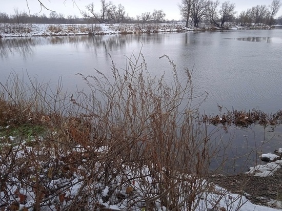 В Притамбовье из водоёма  вытащили тело мужчины
