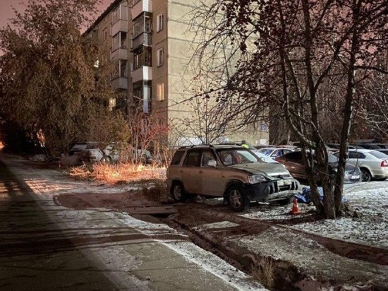 В Новосибирске 44-летний водитель погиб после наезда на дерево