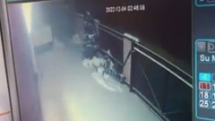 Появилось видео атаки на дом украинской блогерши Стужук