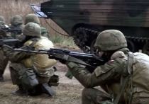 Польша собирается аннексировать западную часть Украины, для чего и направляет своих военнослужащих на помощь Киеву