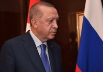 Президент Турции Реджеп Эрдоган заявил, что Анкара ведет подготовительные работы по проекту "газового хаба", предложенному президентом РФ Владимиром Путиным