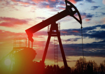 Вице-премьер РФ Александр Новак заявил, что РФ не будет продавать нефть на условиях ценового потолка, даже если для этого придется сократить нефтедобычу