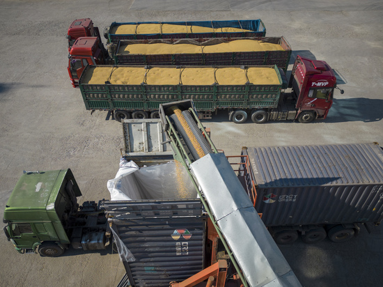 Украинские власти сообщили об отправке второго судна с зерном в Эфиопию