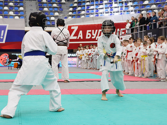 В «Тула-Арене» проходят чемпионат и первенство области по восточным боевым единоборствам