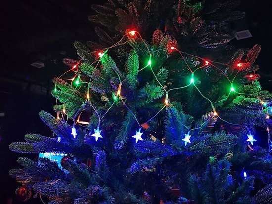 Много игрушек или минимализм?