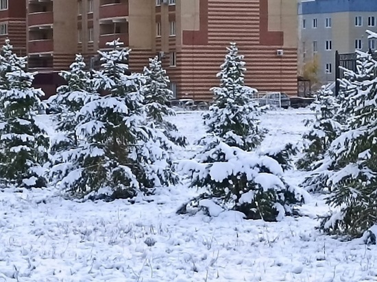 Днем 5 декабря в Оренбуржье ожидается небольшой снег