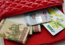 Российские граждане рассказали, что идеальный доход в 2023 году составляет для них в средних 135 тысяч рублей в месяц