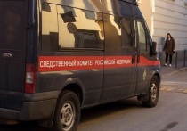 Владикавказские следователи проводят проверку информации об избиении детей в одном из частных детских садов города, о чем в понедельник сообщило в пресс-релизе следственное управление СК по Северной Осетии