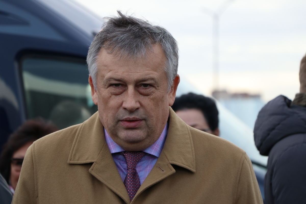 Дрозденко до и после пластики