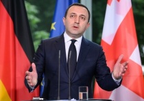Премьер-министр Грузий Ираклий Гарибашвили на заседании правительства страны в понедельник заявил, что представители грузинской оппозиции занимаются набором и отправляют граждан республики участвовать в конфликте на Украине