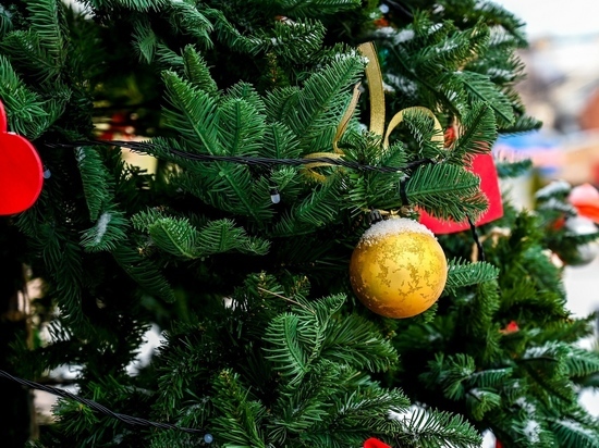 Глава Копейска принесет живые елки и подарки к Новому году семьям мобилизованных