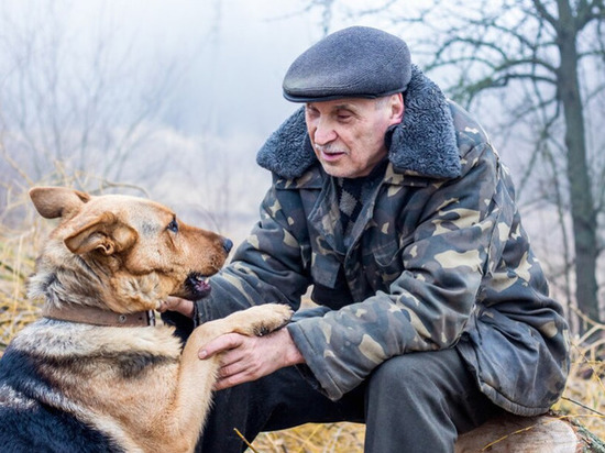 В Кирове для состарившихся служебных собак ищут новые семьи