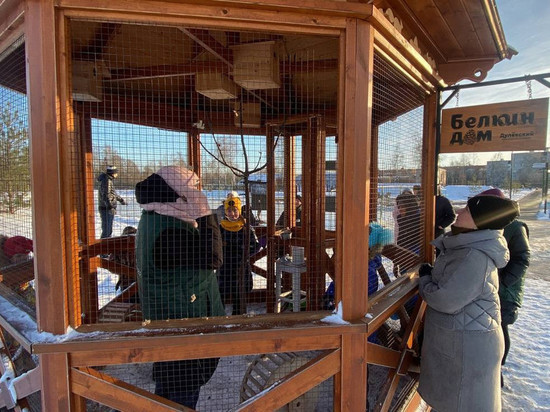 1,5 тысячи человек приняли участие в проекте "Знакомьтесь, белка!"