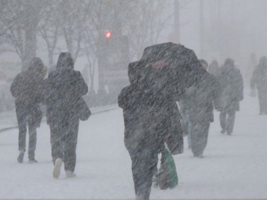 А снег идет: петербуржцев предупредили о продолжении снегопада 6 декабря