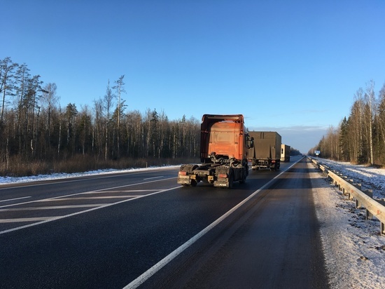 На трассе М-10 в Новгородской области выявлено более 130 бесхозных строений
