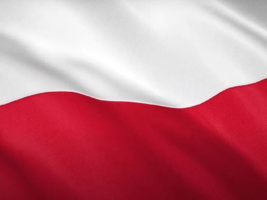 В Польше потребовали от Германии заплатить за унижения