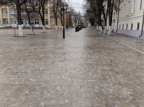Мэр Рязани Сорокина поручила усилить обработку тротуаров и остановок от гололёда