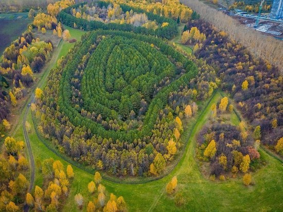 Лесопарк Синягина получил статус особо охраняемой территории в Новосибирске